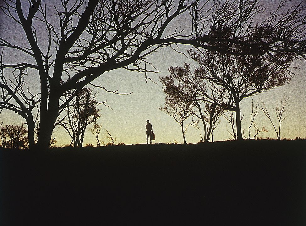 Wake in Fright : Photo