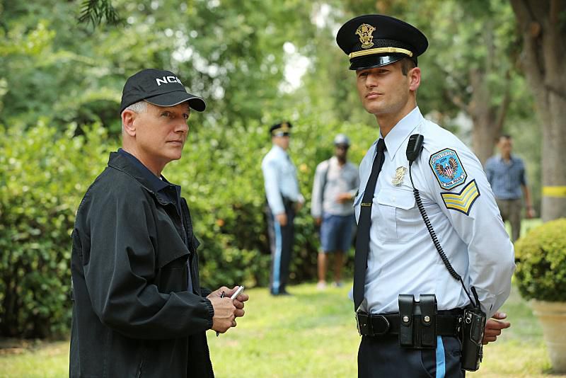 NCIS : Enquêtes spéciales : Photo Mark Harmon