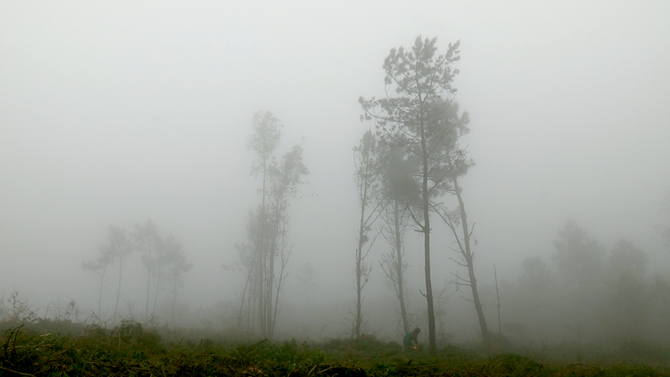 Coast of Death : Photo