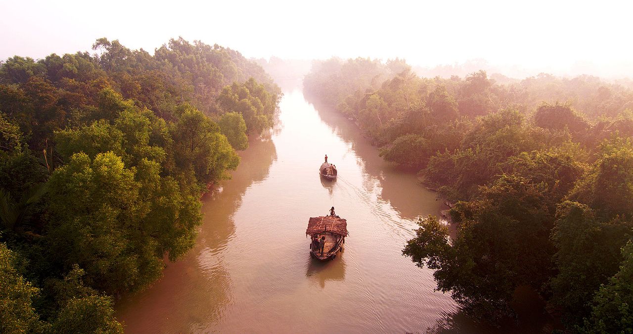 ROAR – Les Tigres des Sunderbans : Photo