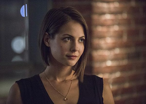 Arrow : Photo Willa Holland