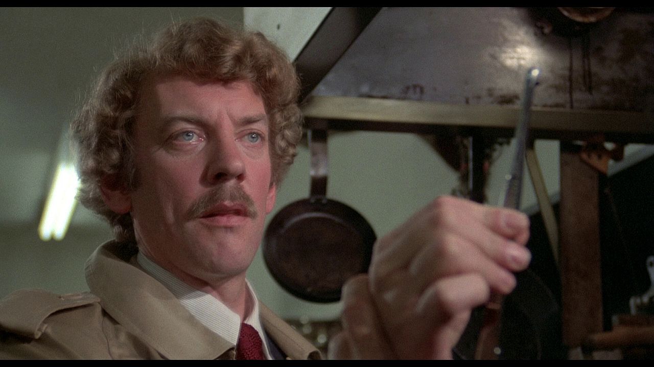 Photo de Donald Sutherland - L'Invasion des profanateurs : Photo Donald