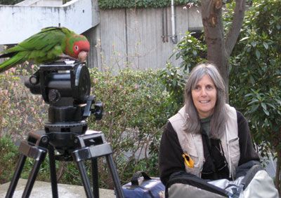 Photo Judy Irving