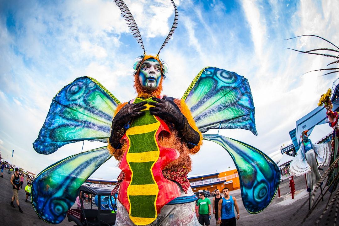 EDC 2013: Under the Electric Sky : Photo
