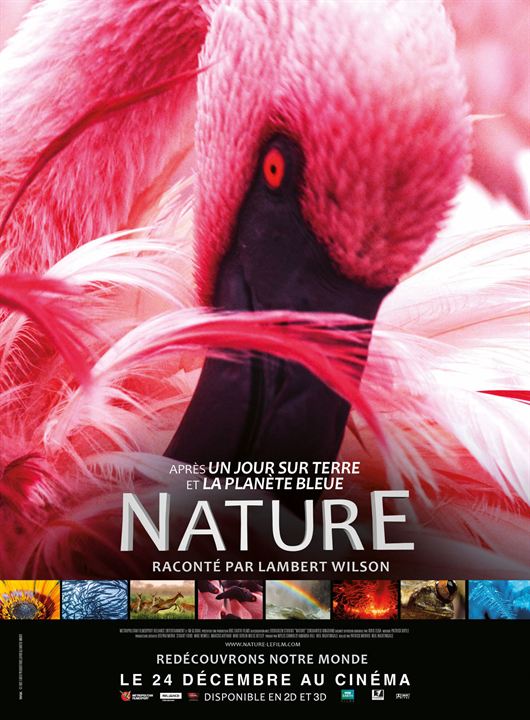 Nature : Affiche