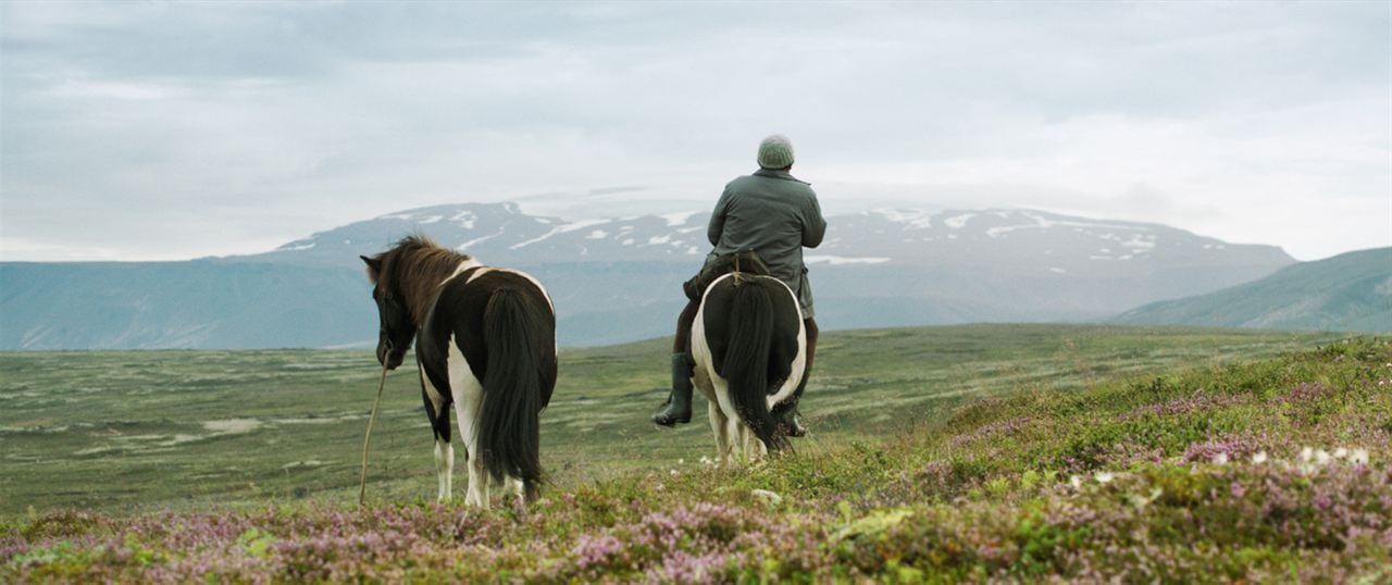 Des chevaux et des hommes : Photo Kjartan Ragnarsson