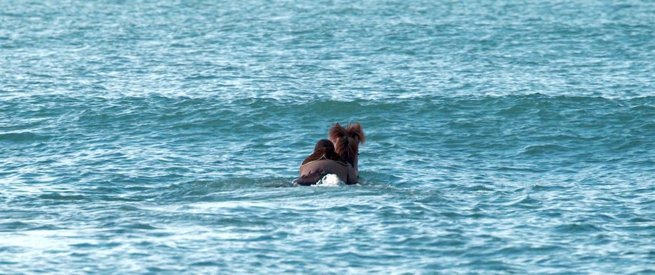 Des chevaux et des hommes : Photo Steinn Ármann Magnússon