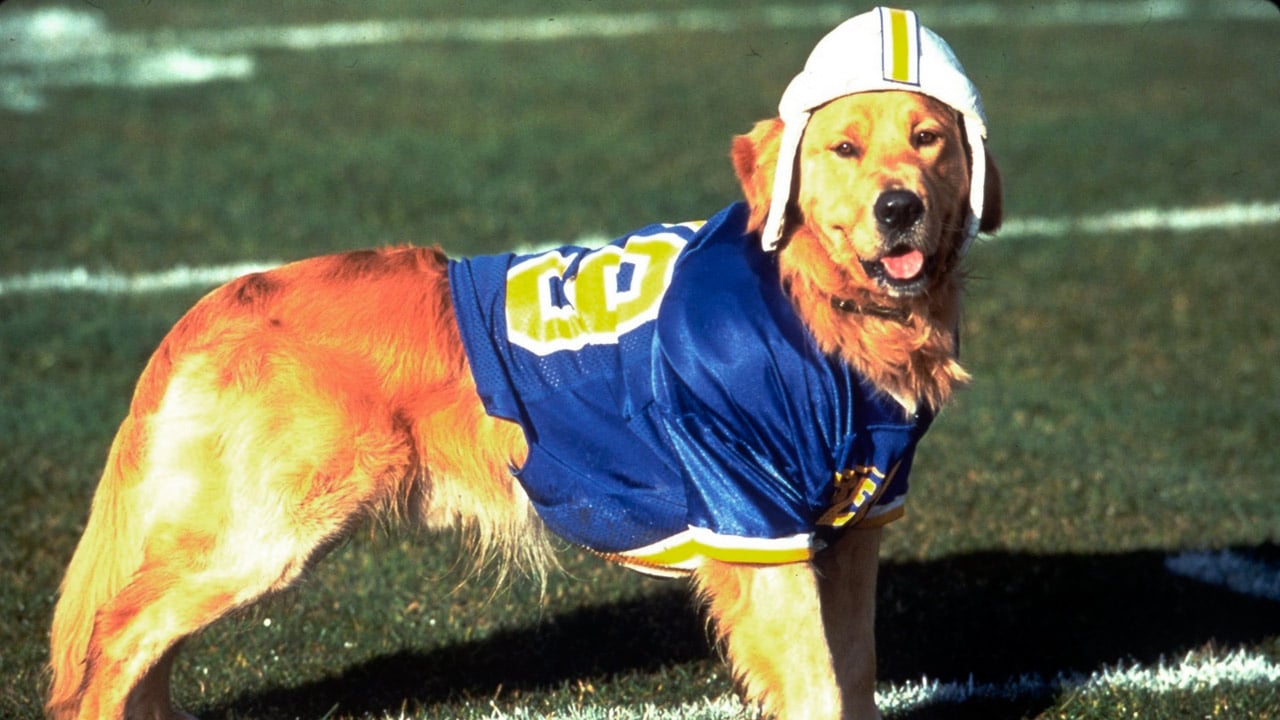 Air Bud 3 (V) : Photo