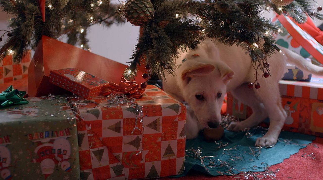 Jingle Belle : Photo