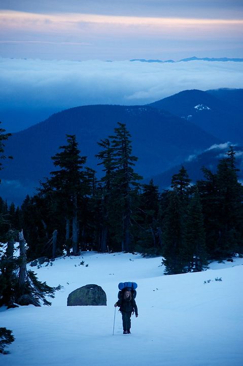 Wild : Photo