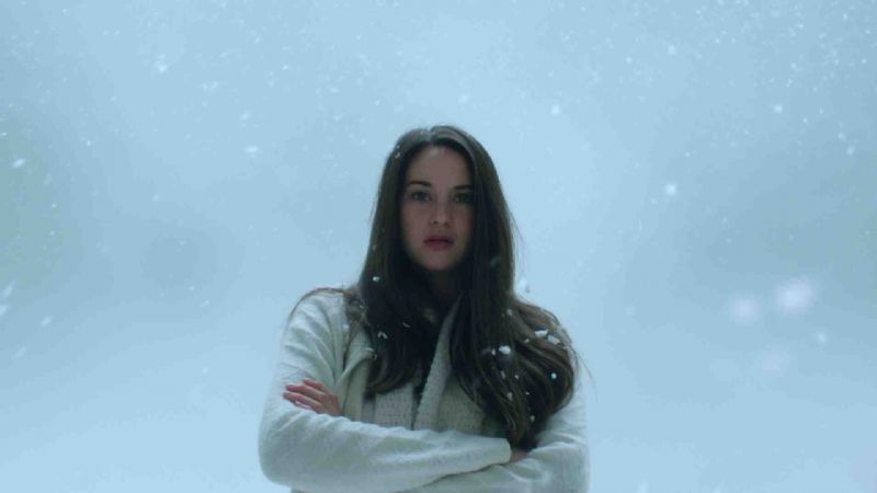 White Bird : Photo