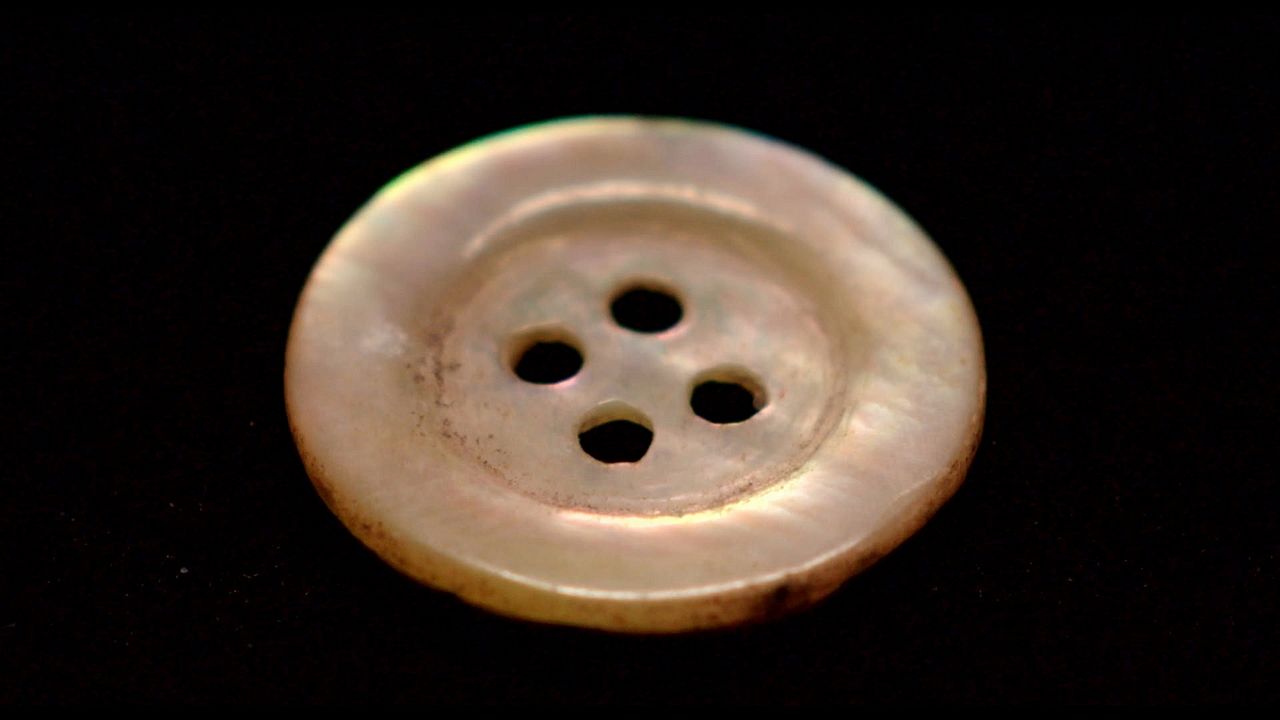 Le Bouton de nacre : Photo