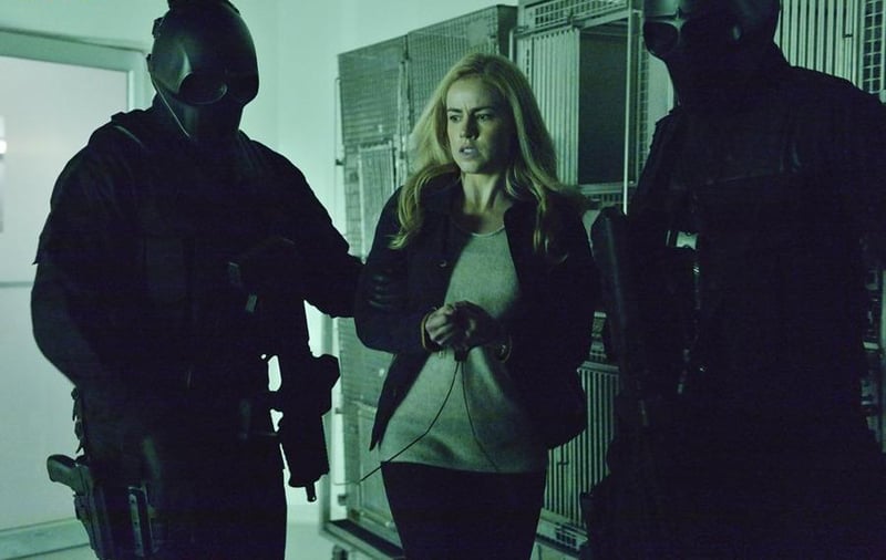 12 Monkeys : Photo Amanda Schull