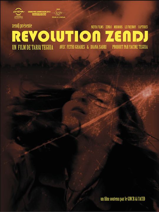 Révolution Zendj : Affiche
