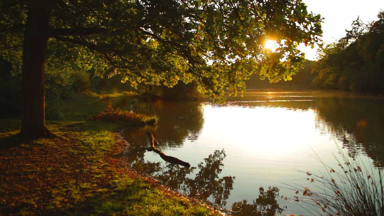Compostelle, le chemin de la vie : Photo