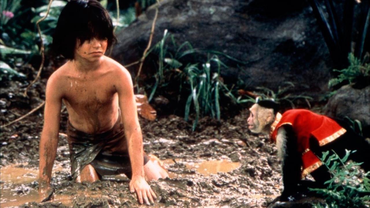 Les Nouvelles Aventures de Mowgli : Photo