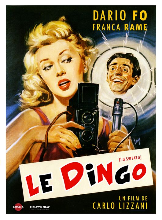 Le Dingo : Affiche