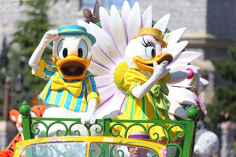 Photo Daisy