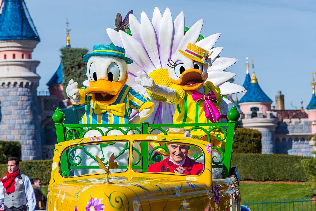 Photo Daisy