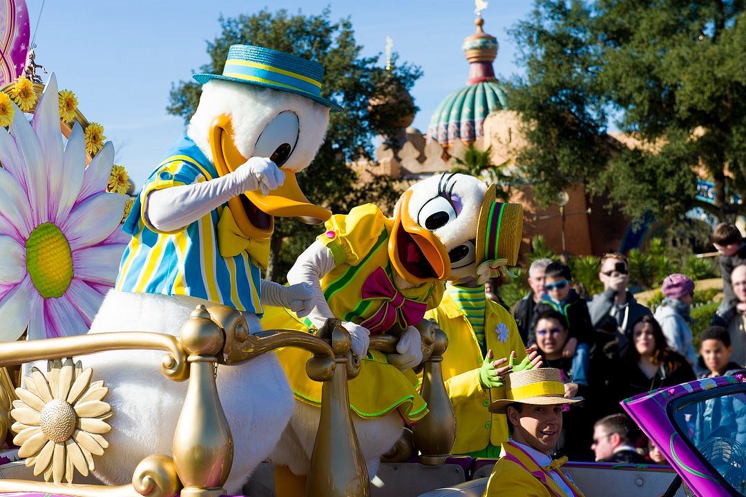 Photo Donald