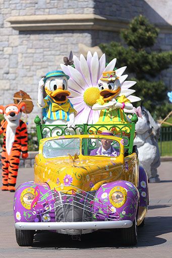 Photo Donald