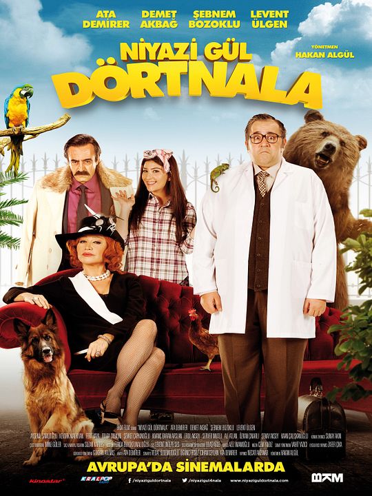 Niyazi Gül Dört Nala : Affiche