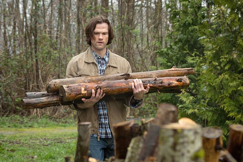 Supernatural : Photo Jared Padalecki