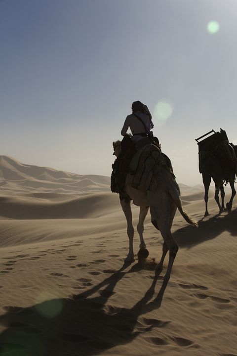 Queen of the Desert : Photo