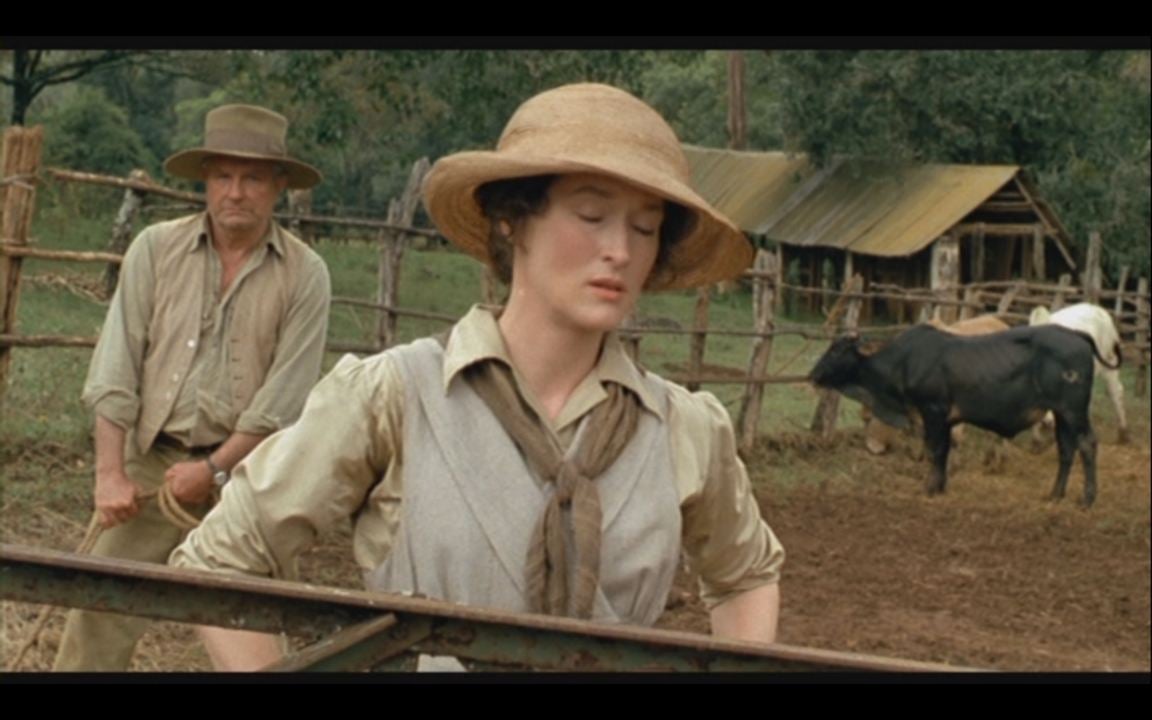 Out of Africa - Souvenirs d'Afrique : Photo Meryl Streep