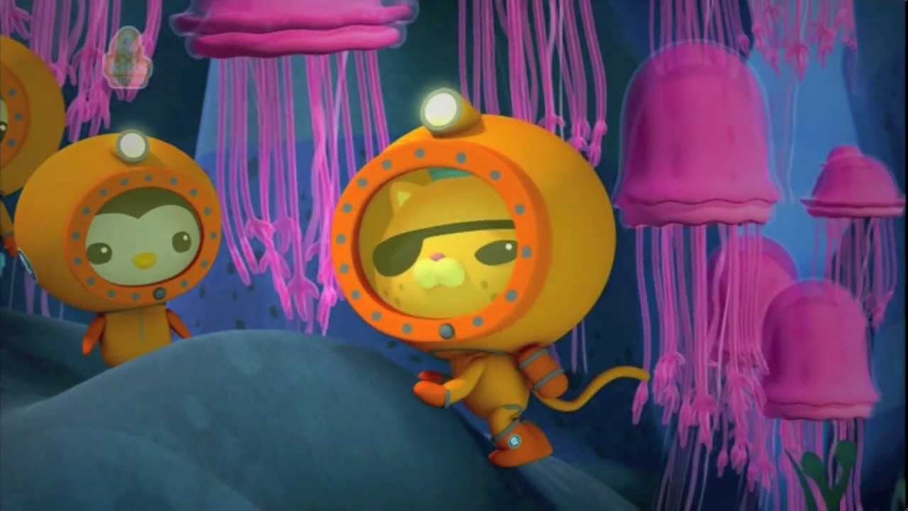 Les Octonauts : Photo