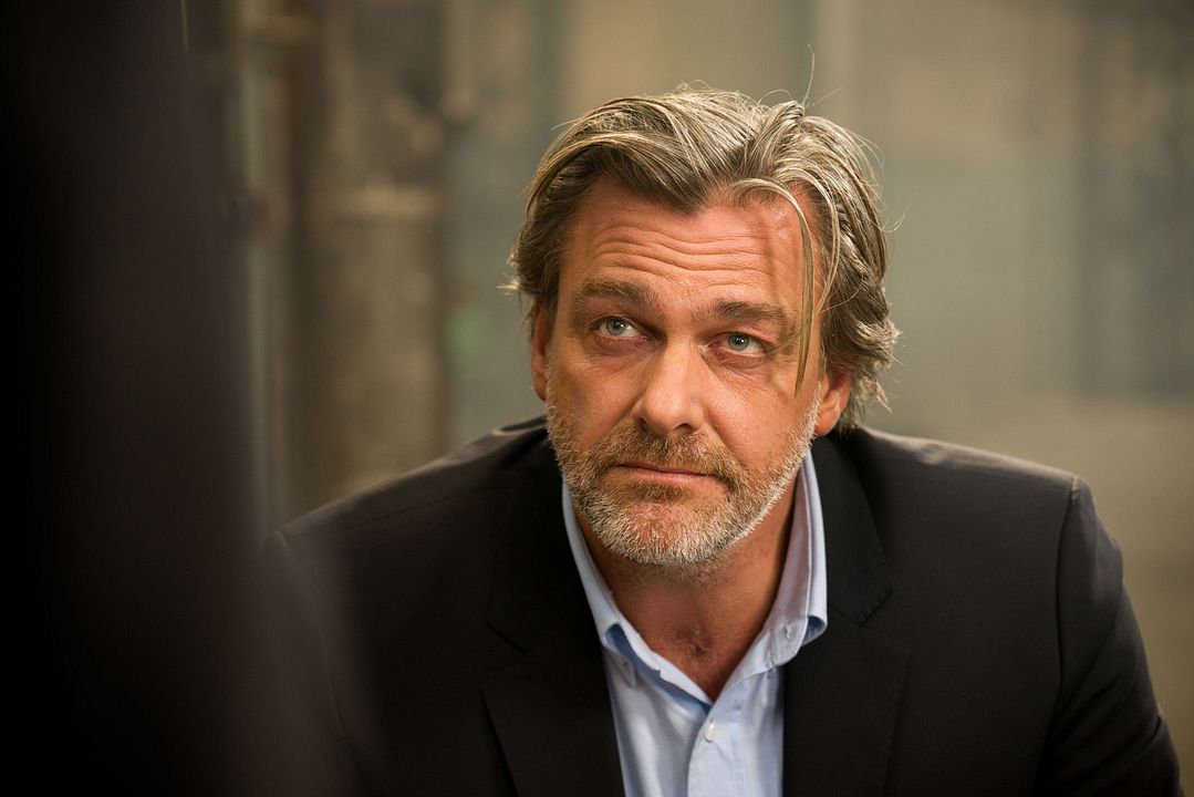 Le Transporteur Héritage : Photo Ray Stevenson