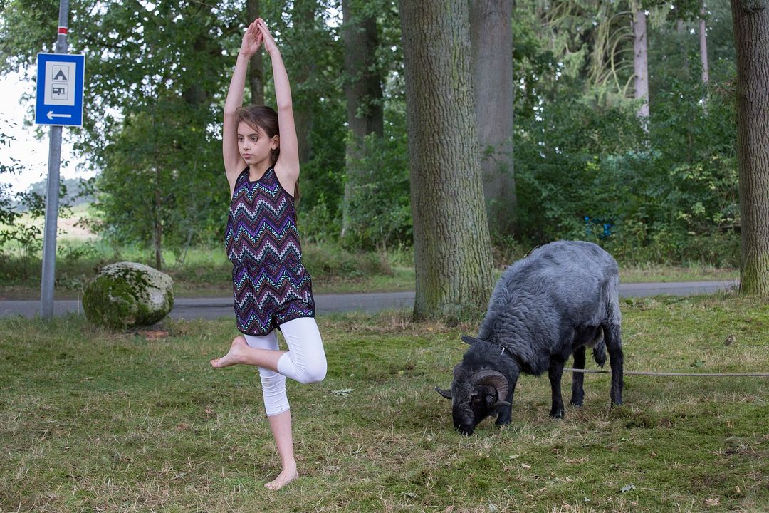 Un mouton nommé Elvis : Photo