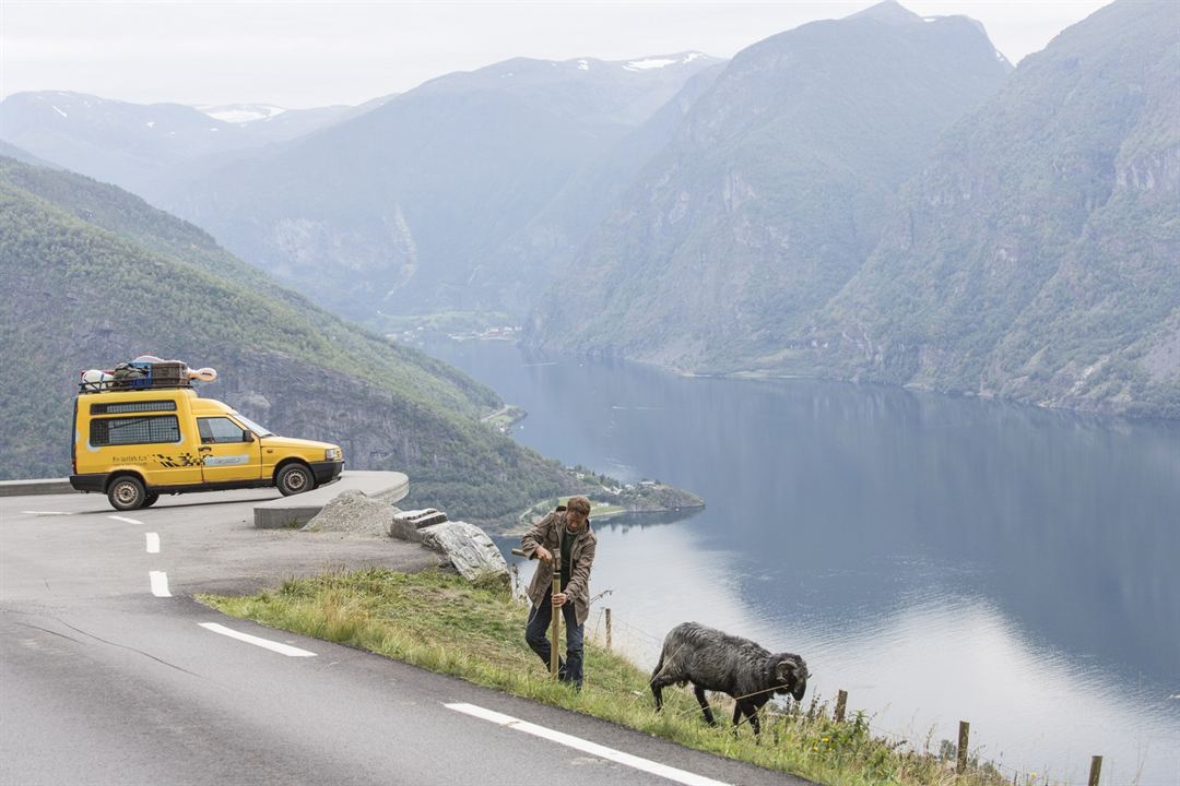 Un mouton nommé Elvis : Photo Wotan Wilke Möhring