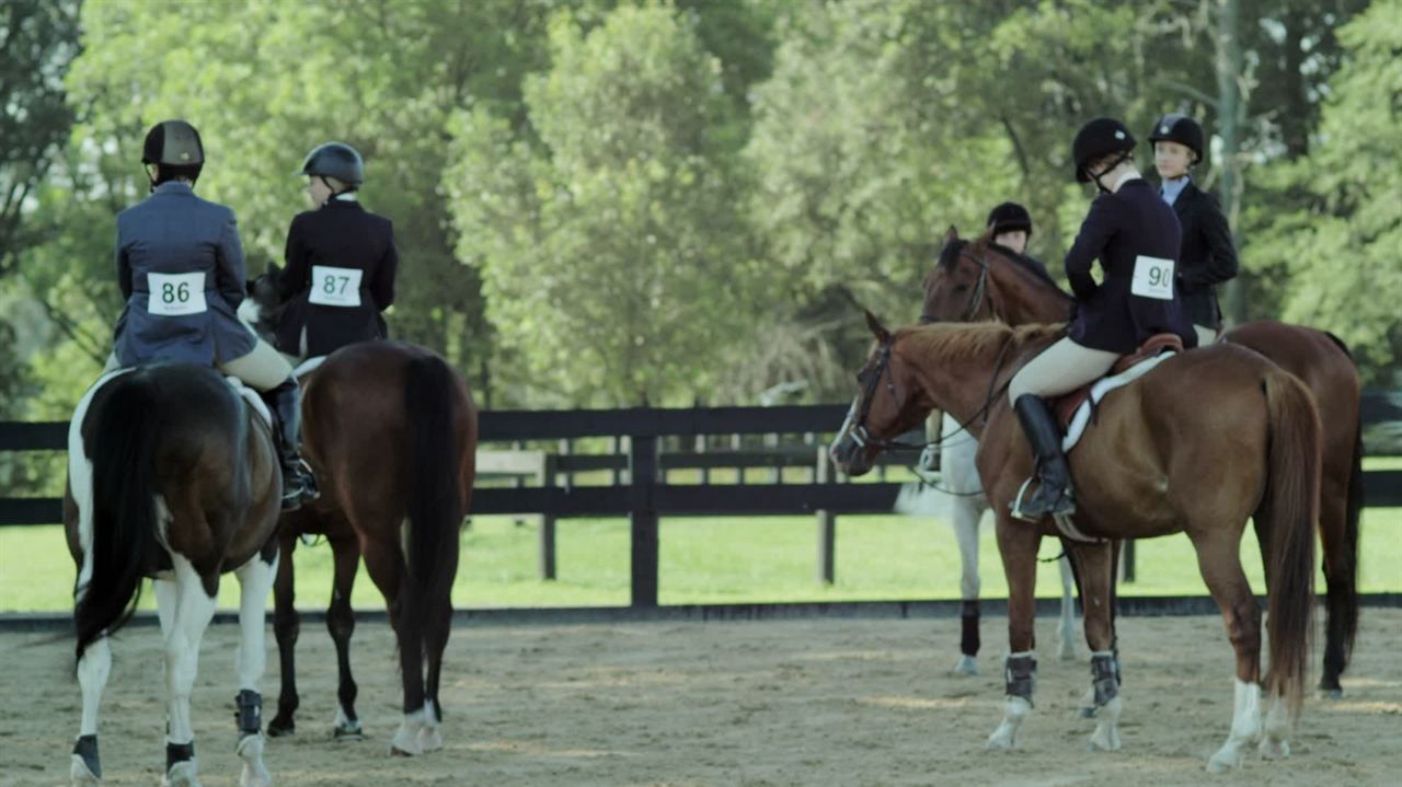 Champion, une équipe gagnante : Photo