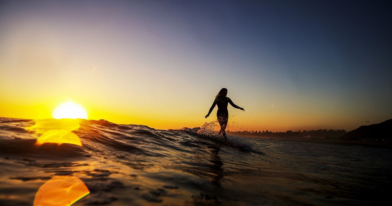 The Search for Freedom : Photo