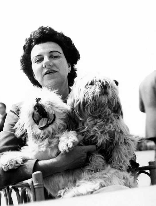 Peggy Guggenheim, la collectionneuse : Photo