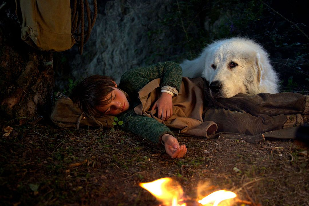 Belle et Sébastien : L'aventure continue : Photo Félix Bossuet