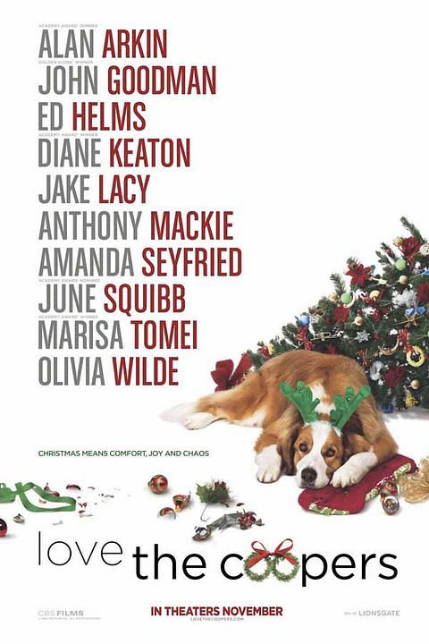 Noël chez les Cooper : Affiche