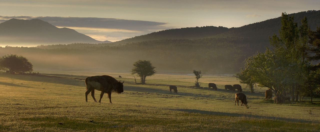 Les Saisons : Photo