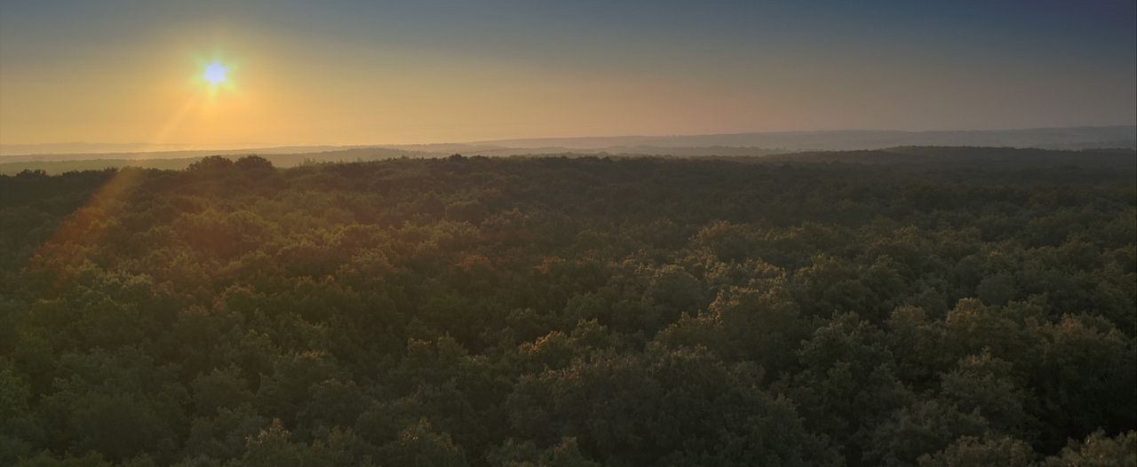 Les Saisons : Photo