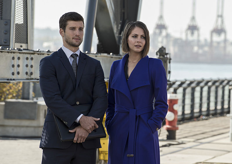 Arrow : Photo Parker Young, Willa Holland