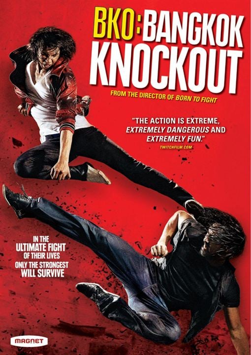 Knockout Ultimate Experience : Affiche