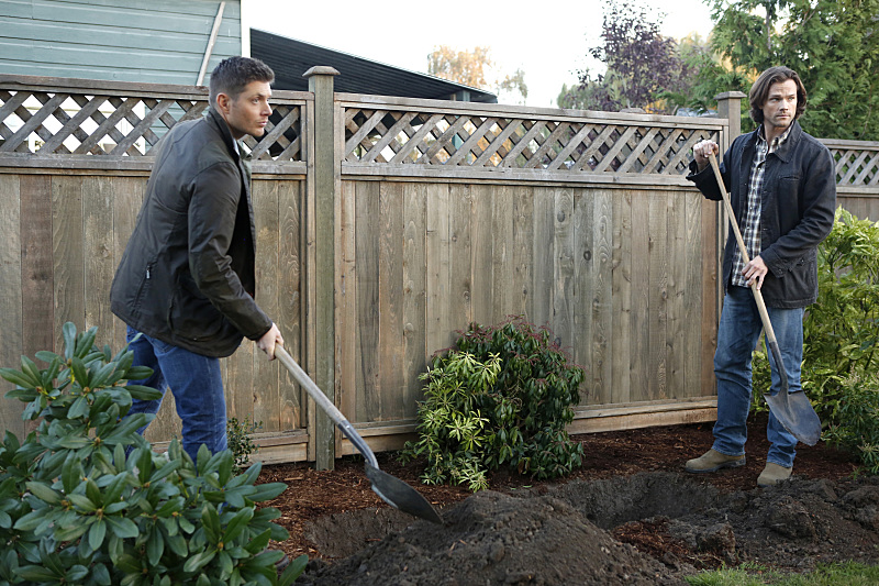 Supernatural : Photo Jared Padalecki, Jensen Ackles