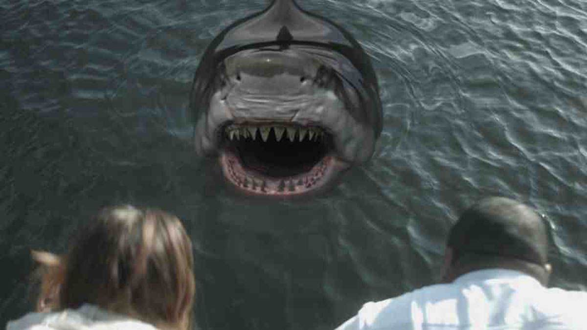 Zombie Shark : Photo