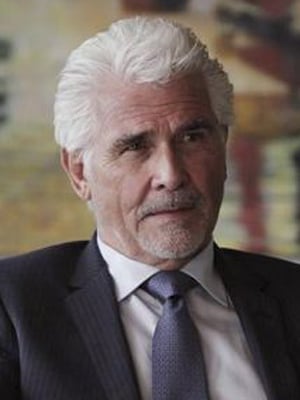 Affiche James Brolin