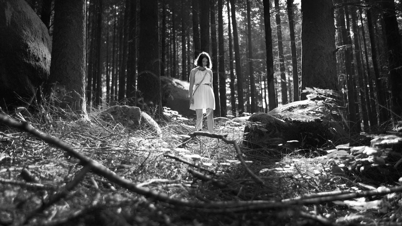The Forest of the Lost Souls : Photo