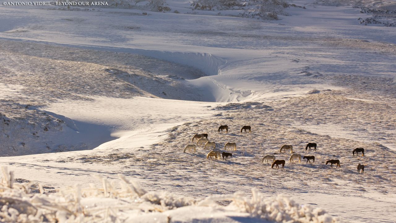 Beyond our arena : Photo