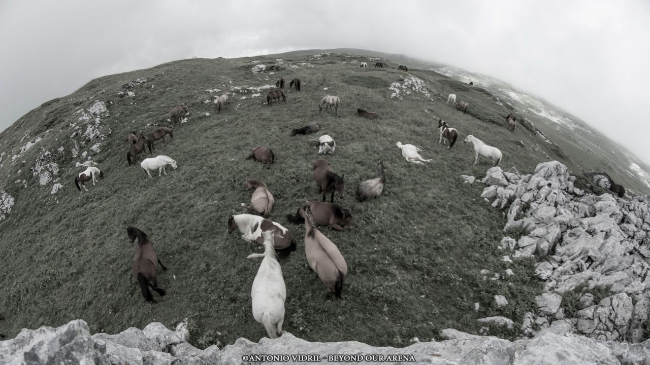 Beyond our arena : Photo