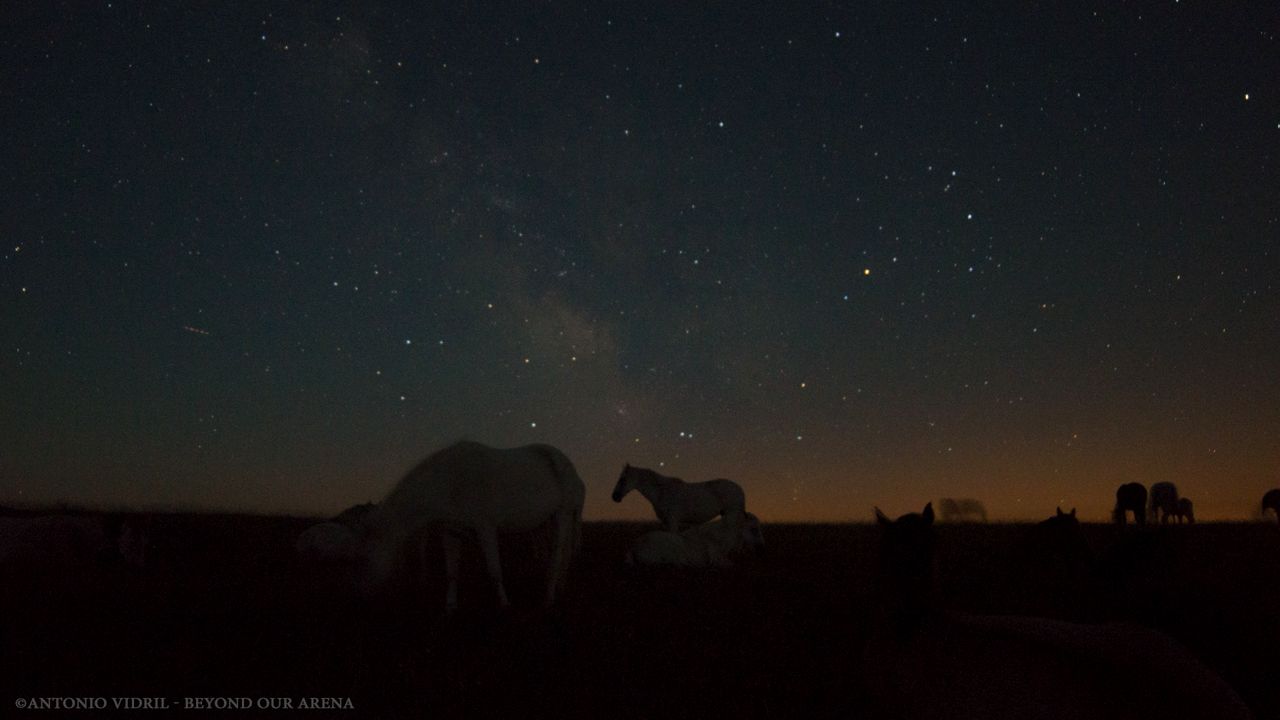 Beyond our arena : Photo