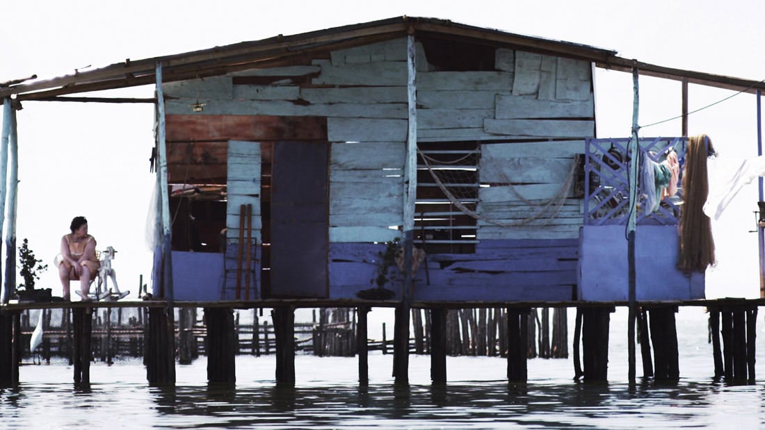 La ciénaga: entre el mar y la tierra : Photo